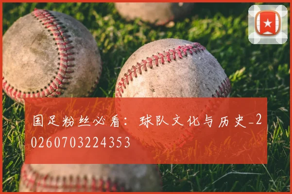 国足粉丝必看：球队文化与历史_20260703224353