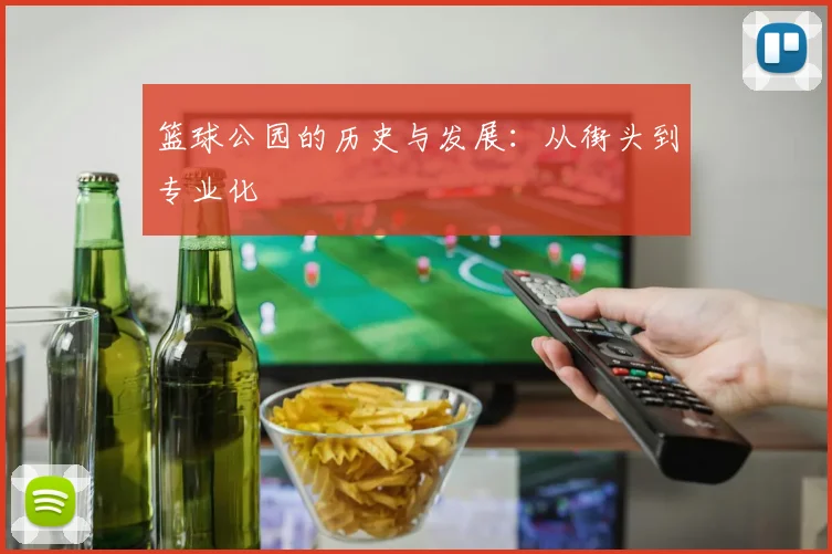 篮球公园的历史与发展：从街头到专业化