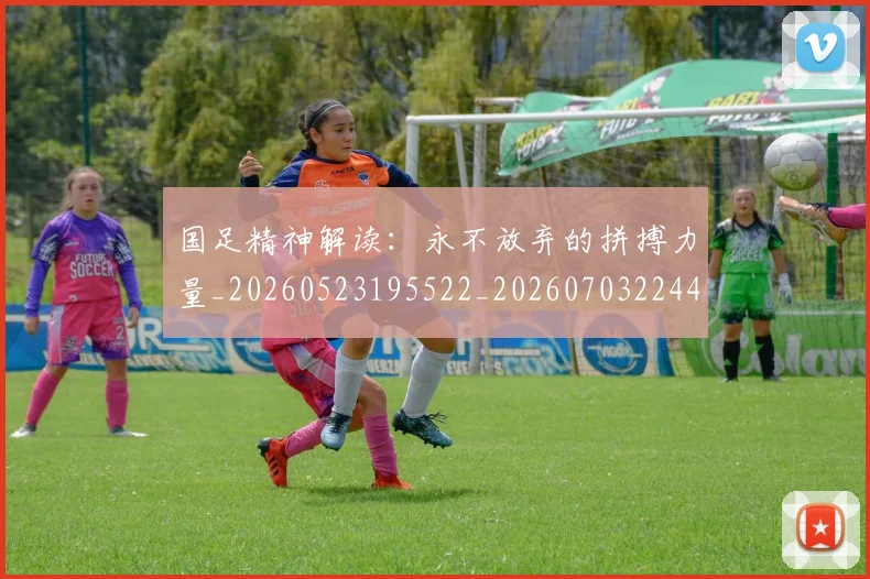 国足精神解读：永不放弃的拼搏力量_20260523195522_20260703224401